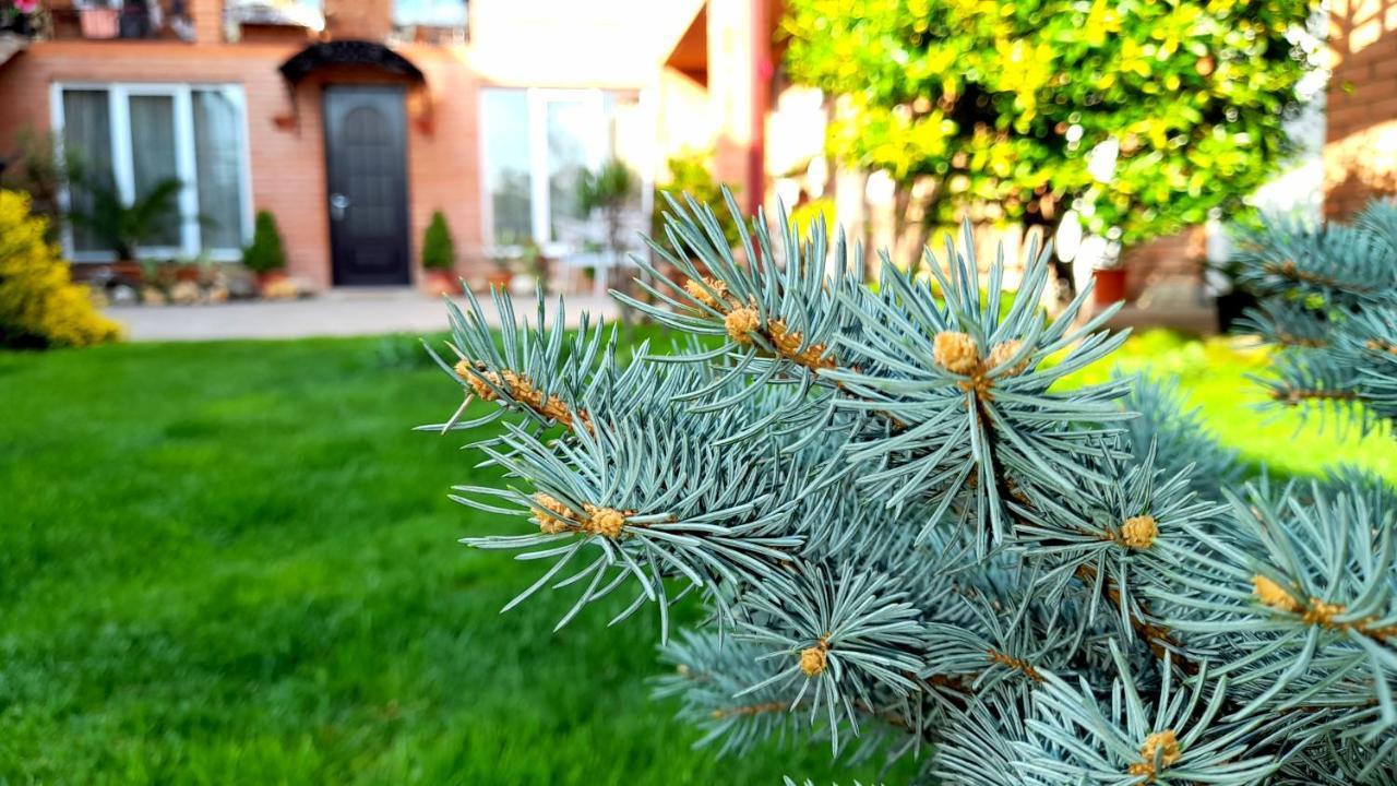 Green Garden Tbilisi Exterior foto
